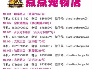 点点宠物洗护卡低价出