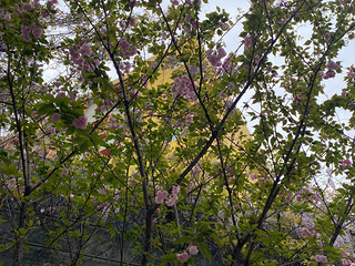 刚需必看！下沙宿舍出租，户型通透，采光通风俱佳