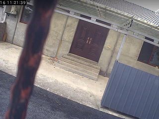 横畈出租3室2院子平房