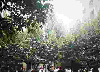 һУŮϮ31