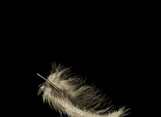 ���ܴ���ë�п������ٸ����壿