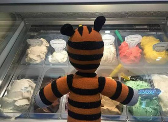 һֻ����ϻ������ڻ����� �ɴ˿�ʼ�����֮��