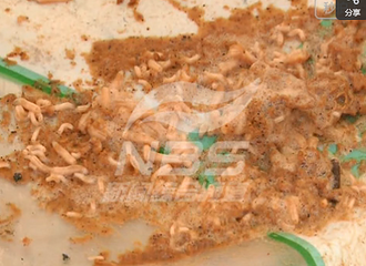 �����Ҫ��л�ǹܣ������ﶼ�ǳ�