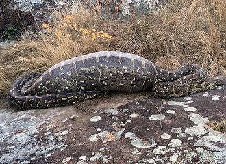 ̰��������26����� �����ˡ�