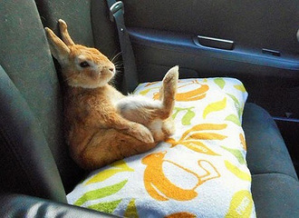 �Ȼ��ˣ����������þ��ʣ������ȶ̿�������