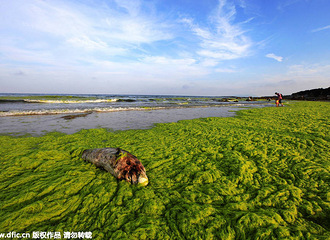 �ൺ������������ԭ���ˣ�