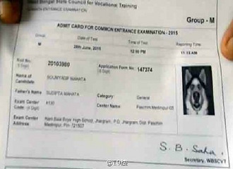 �����࣡С������׼��֤ �����Լ���Ƭ�����һֻ��