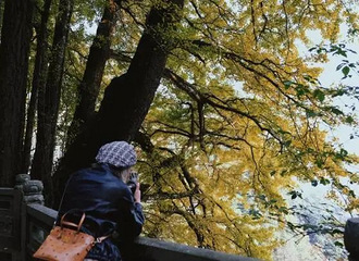 �λã����ݾ������������ӡ����ˣ�������������֪ͨ