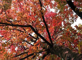 �����ݵ�ɫ�塱��ÿ���ʱ�ڵ��ˣ������ȫ��������