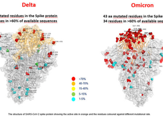 �������硢������԰��ܿ��ֻ���Ч�� ��������ί���