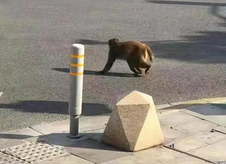 ͷܡ⨺ӡץѣˣȰΪ֮