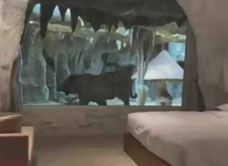 ͣ