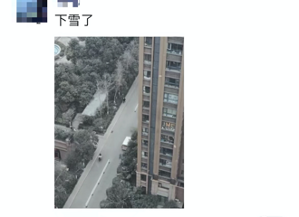 �쿴���⣡������˫������ѩ����