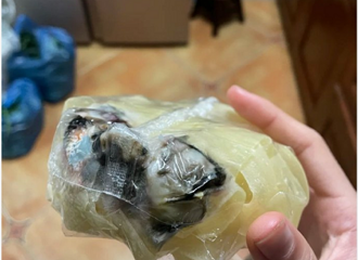 ���조����������Ƥ����װ�ڷ��������⣿�ٷ���ҹ��Ӧ