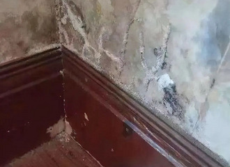 ů˵ĶҲҪң꺼ݵѩ