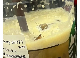 кȳ룿ǰͿ˻Ӧ