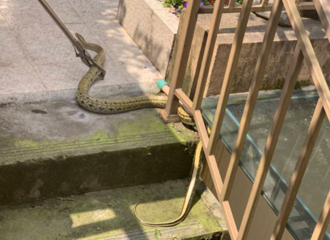 ���ȳ�����һ���ץ����������Ա��̾�����ݵ��߶���ô����