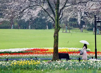 ����+����+��磬����ֱ����ء������������ݵ�ӣ��������