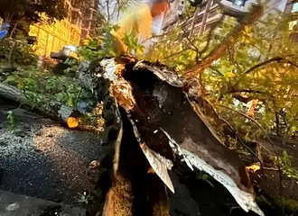 ���ݵ�������ʽ��ʼ����ҹ��紵�ϴ��������ﳵ����