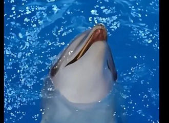 һСͻȻŮҵһʵگ}û