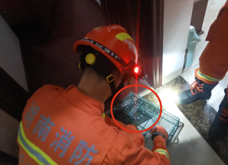 ����˯���б���Ƥ�������ţ��ƿ�����һ������������