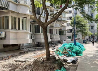 ����һС�����죬�����ɻ�10��ô���ȥ�Ķ��ˣ�