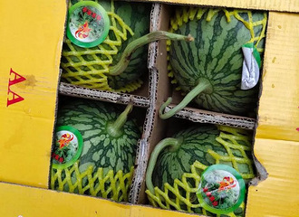 ����һС���²ۣ���˾���Ķ��縣���е�С��������һ��������