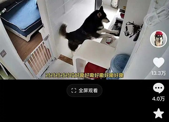 �������ѣ��㽭����Զ��ָ�Ӽ��й�ʿ���󷹣��������