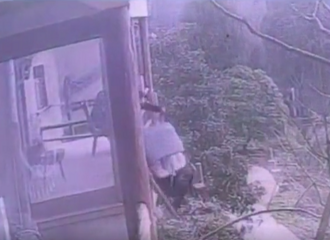 �����ӿ���Ц������̧������̨�ⶪ�������������ˡ�