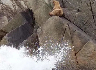 �������㽭һ���֡��������͡������ǡ�