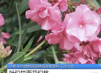 Ϊ�ĳ�����Χ�С���Ů���������Һ��ж������ѣ������ݵĻ�Ҫ�š�