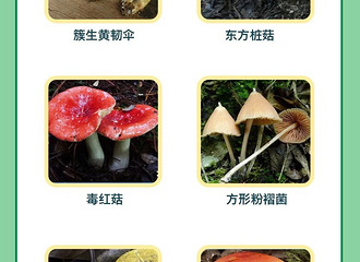 ����ҰĢ���������������Զ������...