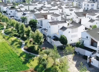 ���������Ļ�Ǩ���ȱ���������