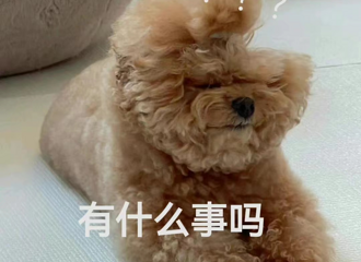 ����ƾ�跢�ͻ���һ�ѣ����ѣ������е�һ��ĵ����