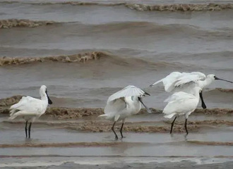 ������������ϡ����ͼ�����ˣ���Щ��������������ʶ��?