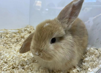 ��һ�ܳ�����������������һ�룬���Ҫ��ǧԪ��