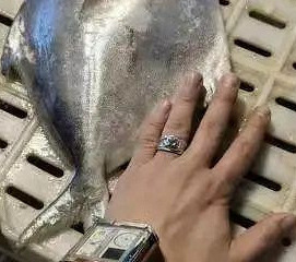 һ�����ǵ�1000Ԫ/���������ڼ�����ϵ�Ӳ�ˣ�ƾʲô��