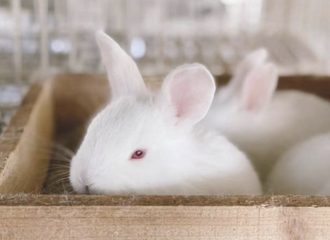 ��ֻ���򻹲����������궥��������ʵ�ǡ������λ��ӡ�