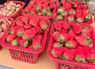 ͻȻ���ǣ��������������У�������������500�򣬺ܶ��˶���