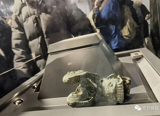 �����ż��žʹ������ˡ������Ƕ��οʹ�����ﶼ�򷭣��ٷ���Ӧ