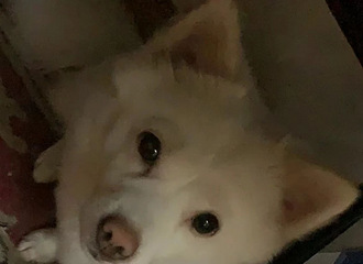 żȻˢĴСˣԼ3ǰĹ
