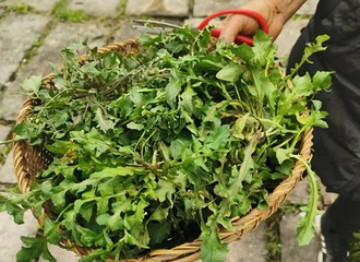 ���������ݲ����˳����͵أ�����̫��ͷ������ȴ���ѡ���