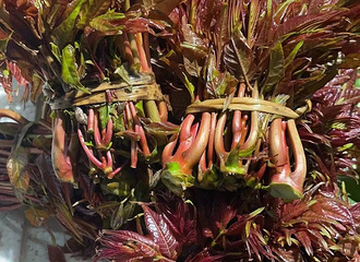 ���˽조�������۸�����150Ԫ����30Ԫ