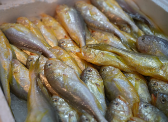 һ���20Ԫ���㽭��ץ���ԣ�ֻʣ�°����