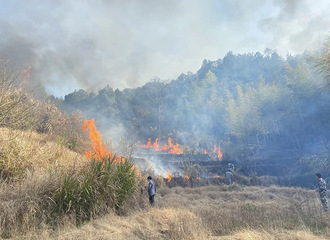 �㽭��ĳĳ���̾У����ڶ෢���������ѡ�