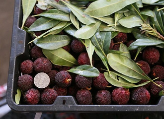 �۸���ն������200�������գ������������У��ܿ컹�õ�