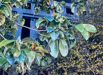 �����׸�30��Ҫ���ˣ����ǽ�ͷһĻ���£�������