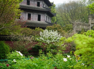 ���һ�ܣ�Ǯ�����ߡ�����ѡ�֡������ߣ�������ÿ�궼����