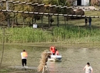 ʹ�ģ��к�������ˮ��������ˮӪ�Ȳ����������ٷ����»�Ӧ