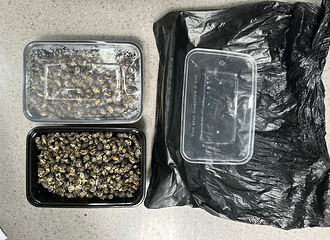 �㽭�����˱�ץ��С�����֡���ζ�����ж���